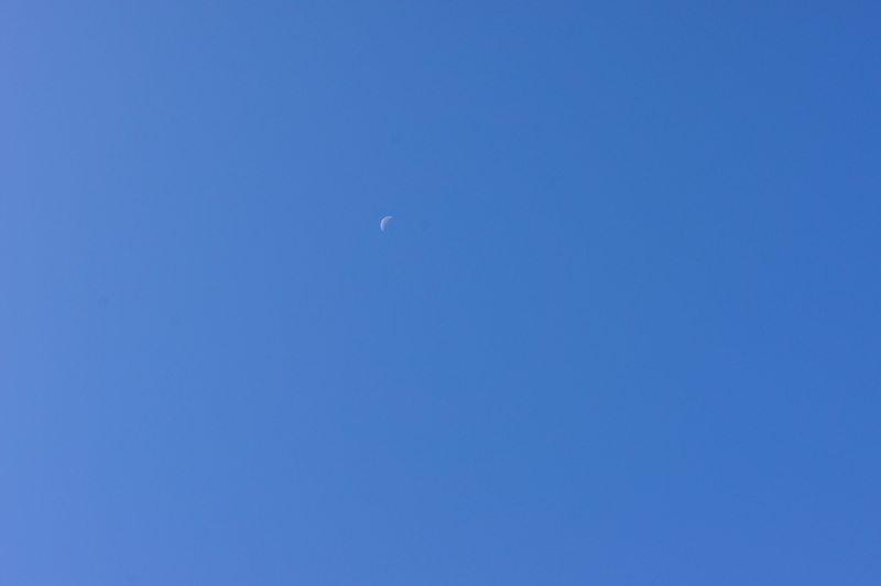 まだ月が見えてた。空気は澄んでるし天気はいいしハイキング日和。